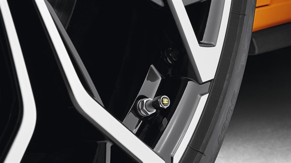 MEGANE R.S. Capuchons de valve R.S.